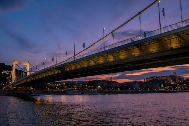 ponts suspendus de l'Inde