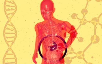 Microbiote et digestion