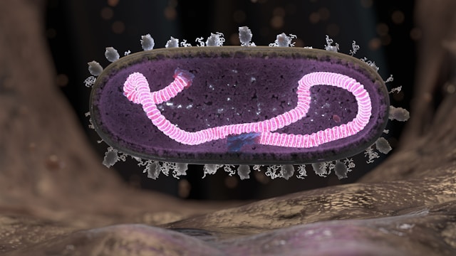 Microbiote intestinal