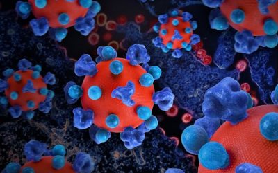 maladies infectieuses