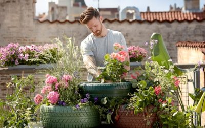 Jardinage urbain