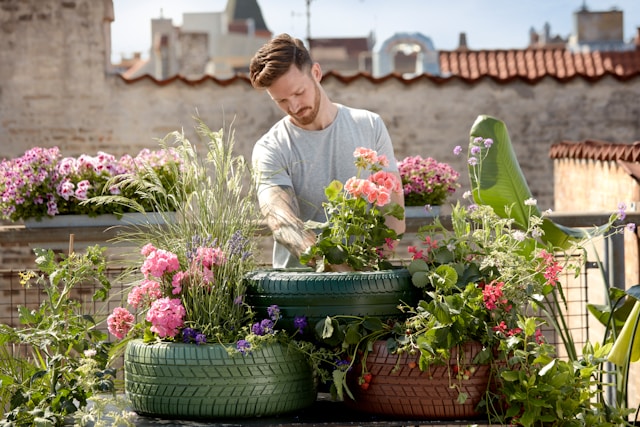 Jardinage urbain