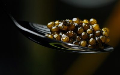 Comment choisir son premier caviar ?