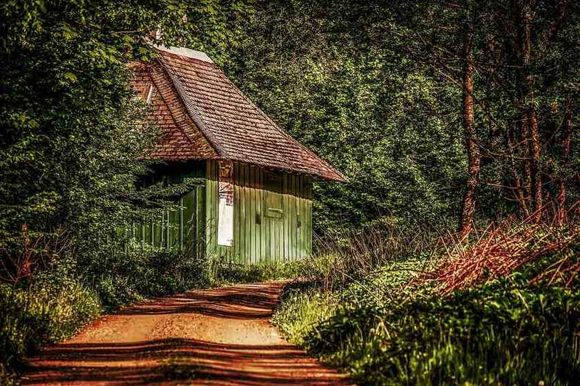 Petite cabane verte avec toit rouge dans une forêt dense et verdoyante