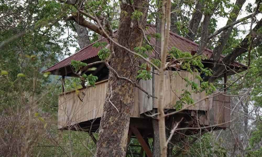 Cabane en bois perchée entre les arbres, toit rouge, vue partielle à travers les branches