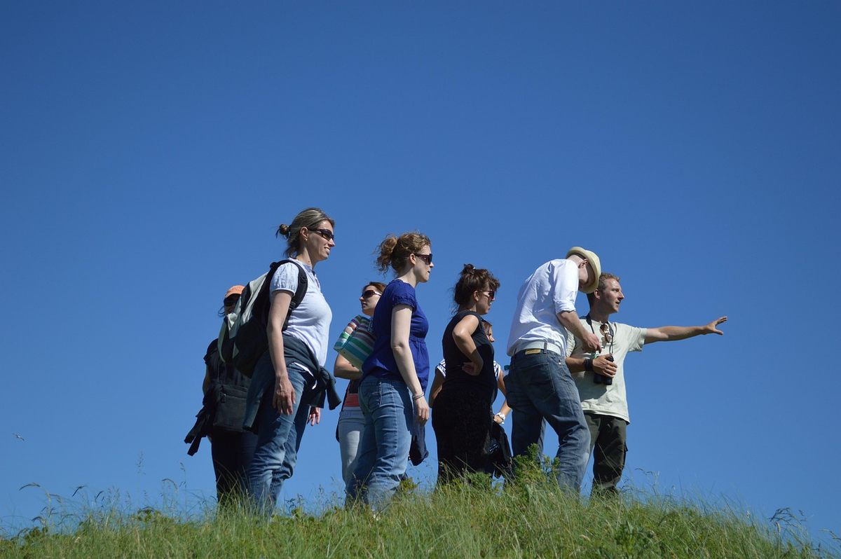 Promenade dans un pré Promenade dans un pré