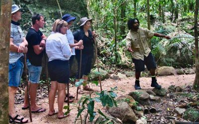 Guide en forêt avec un groupe de personnes